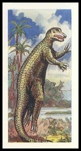 65CD 23 Allosaurus.jpg